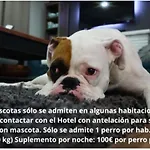 Hotel Balcon De Europa