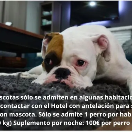 Hotel Balcon De Europa